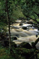 Tumbling White Water